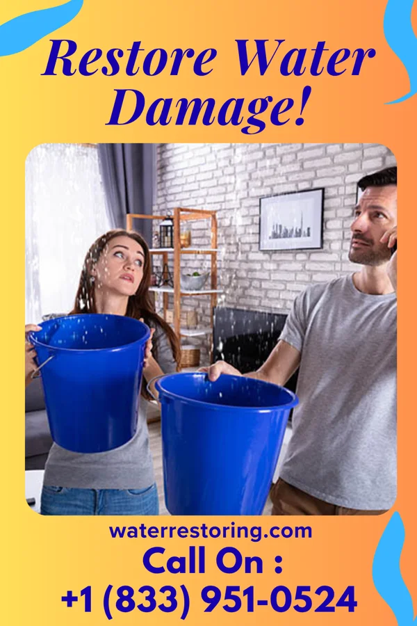 water restoration Stellar Flood Mitigation Experts Lutcher