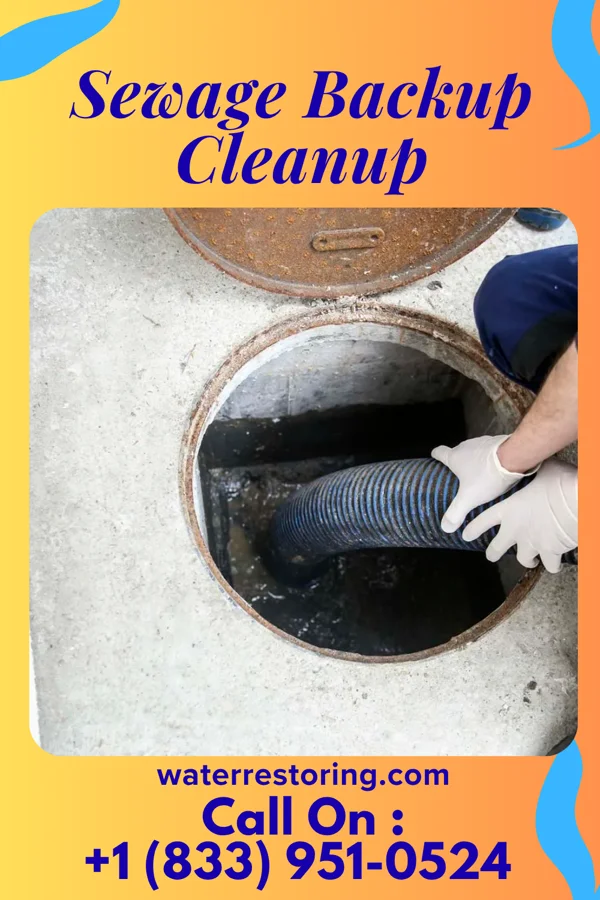 Sewage Backup Cleanup in Lutcher, LA