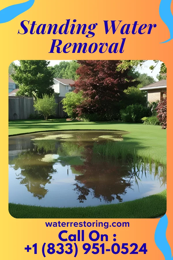 Standing Water Removal in Lutcher, LA